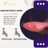 Mâm ghế cong tự nhiên của ghế công thái học Sihoo M77 - thiết kế ôm sát thắt lưng, mông và bắp chân, tạo cảm giác thoải mái khi ngồi lâu - XLAP.vn